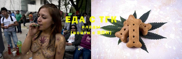 индика Ростов