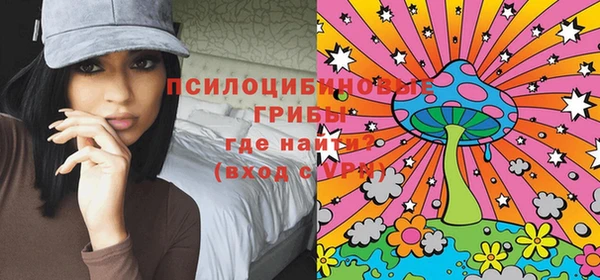 таблы Алексин