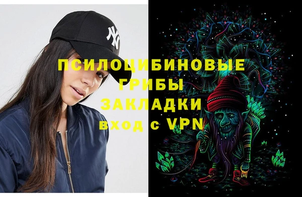 спайс Алзамай