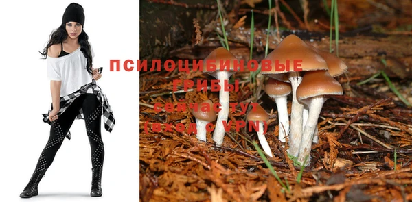 таблы Алексин