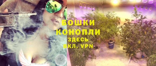 спайс Алзамай