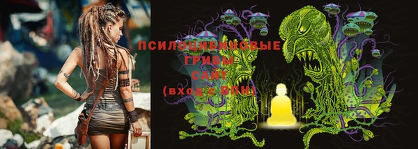 спайс Алзамай